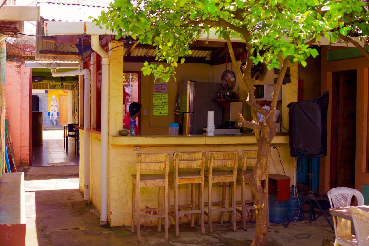 Hostal Los Chamos Сан-Хуан-дель-Сур Экстерьер фото